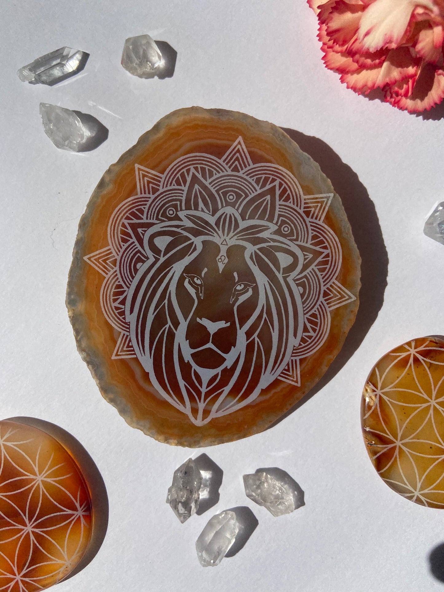 “Bold” Leo Zodiac Agate Slices - Round