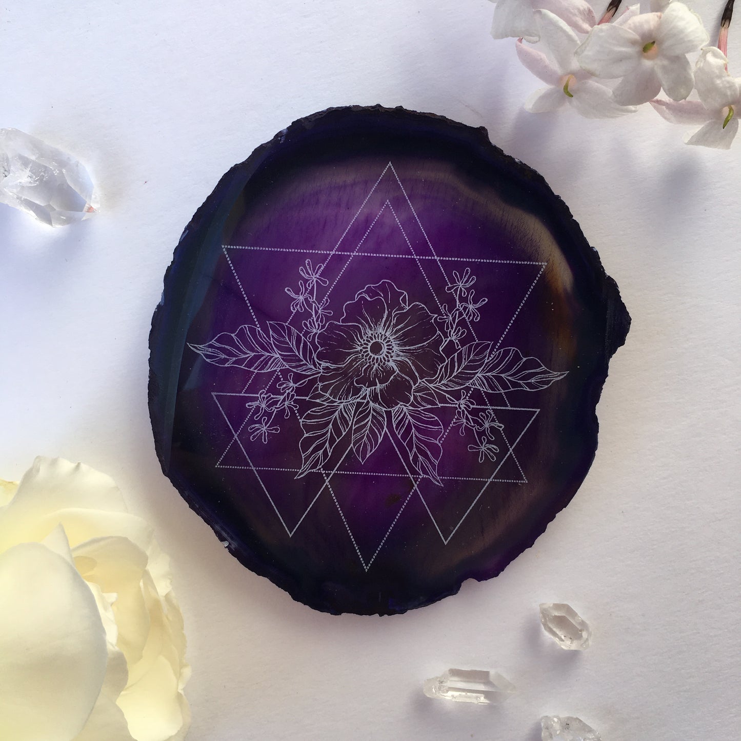 “Wild Geometry” Anemone Flower Agate Slices - Flower Essence Collection