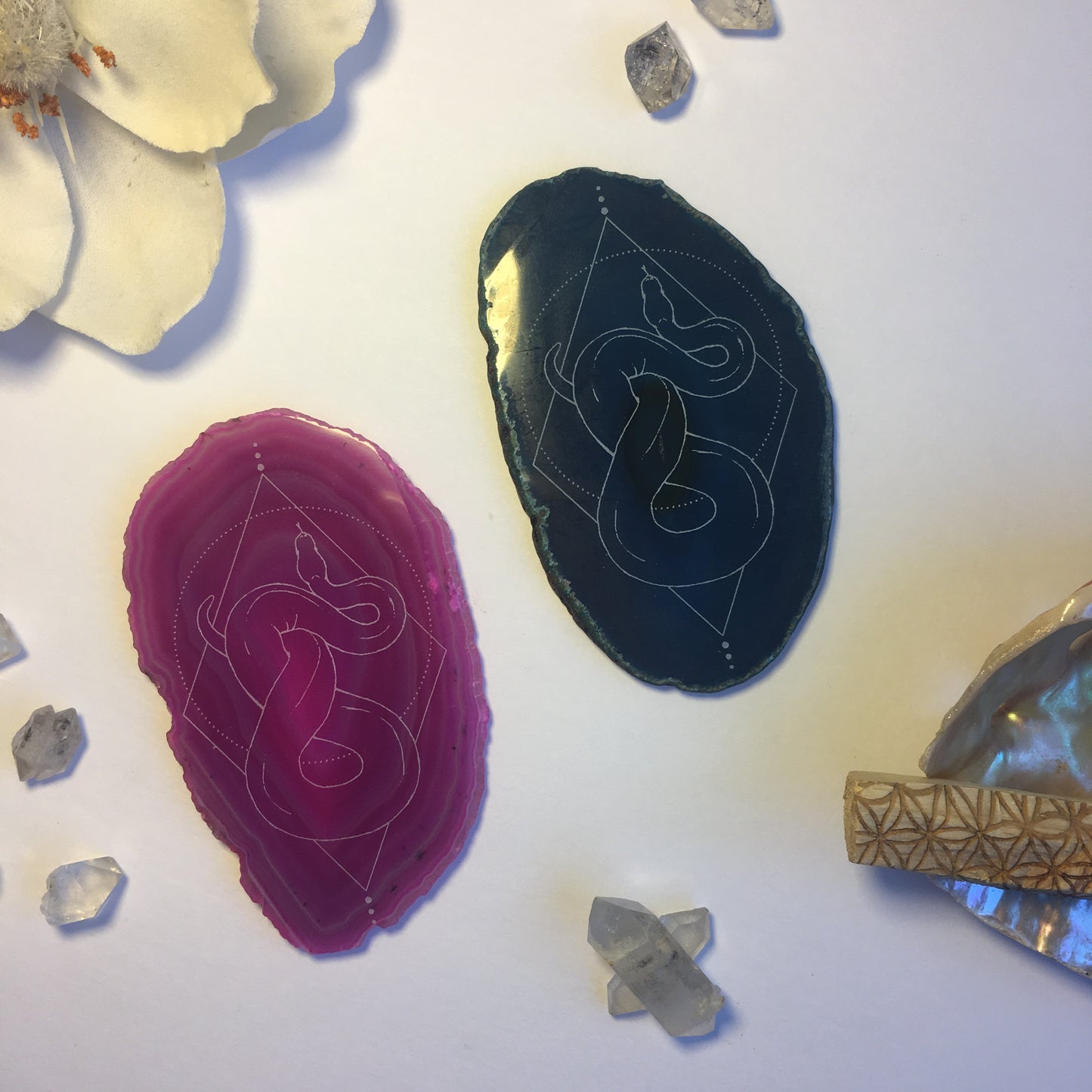 “Danger Noodle” Snake Agate Slices