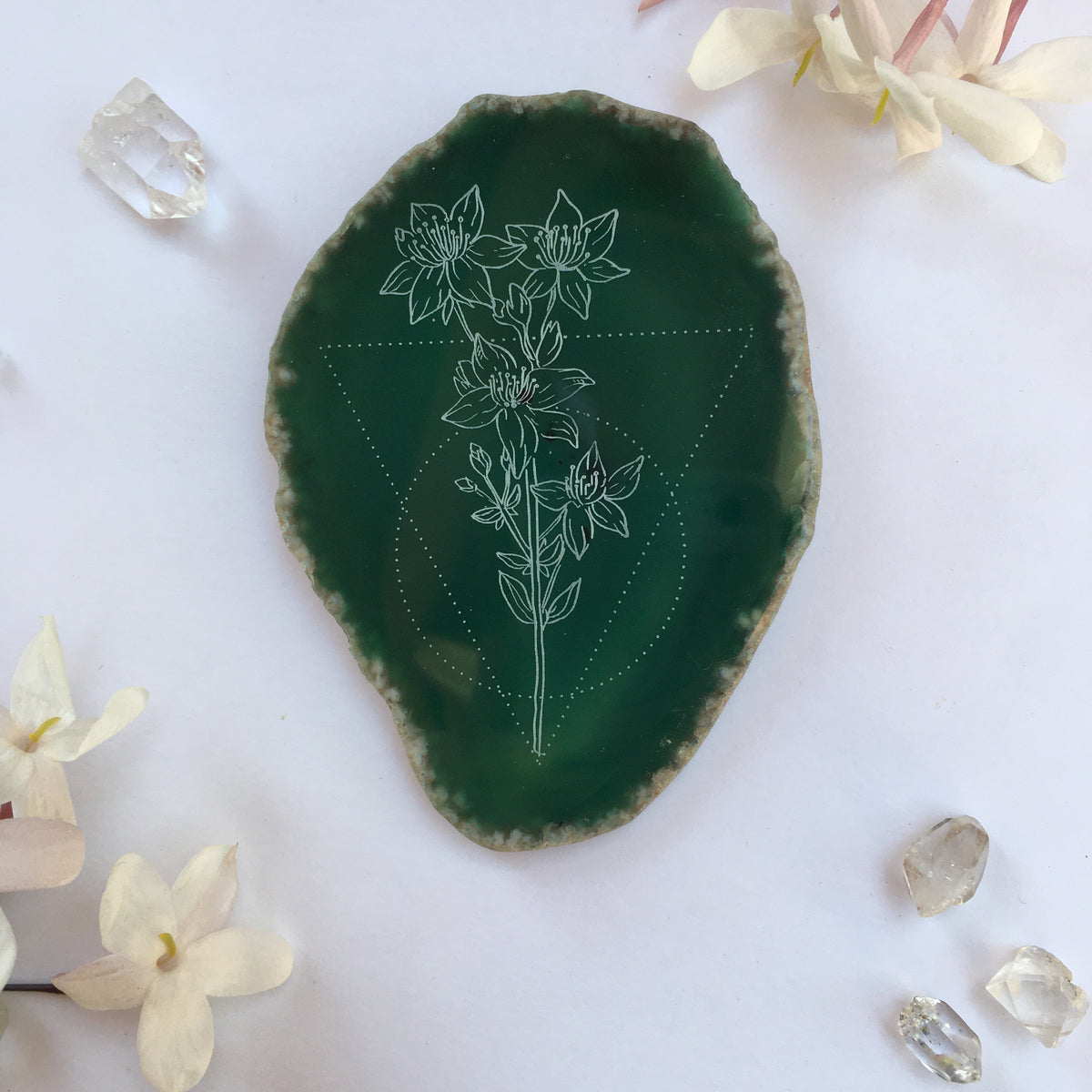 ”St. John’s Wort ” Flower Agate Slices - Flower Essence Collection