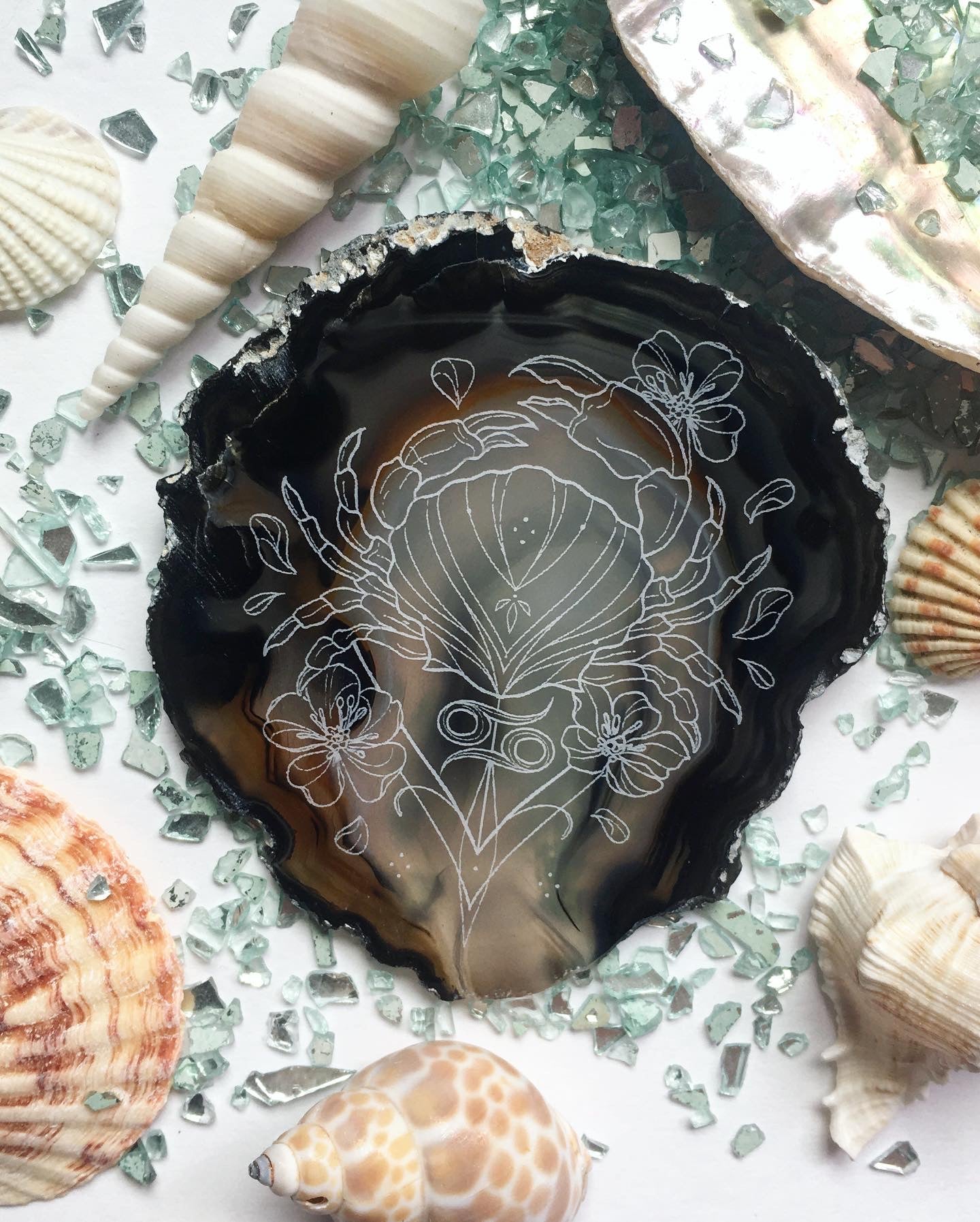 ✨♋️Cancer Collection♋️✨