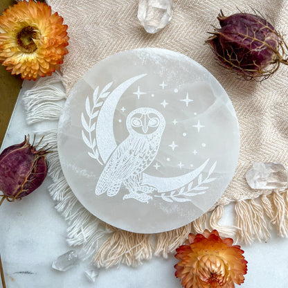 "Wise Owl" PEACH or WHITE Selenite Crystal Disk Home Decor