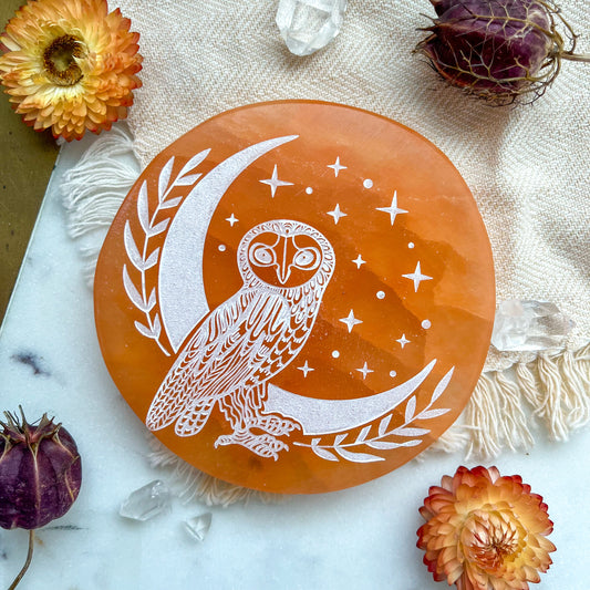 "Wise Owl" PEACH or WHITE Selenite Crystal Disk Home Decor