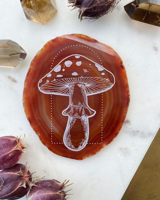 "Amanita" Mystical Mushroom Agate Slices - Fractalista Designs