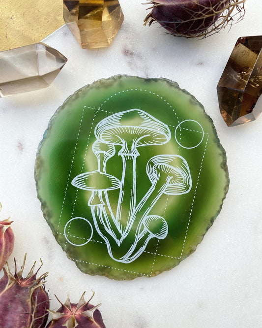 "Golden Cap" Mystical Mushroom Agate Slices - Fractalista Designs