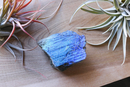 Labradorite Half Polished Slab Etched with Flower of Life