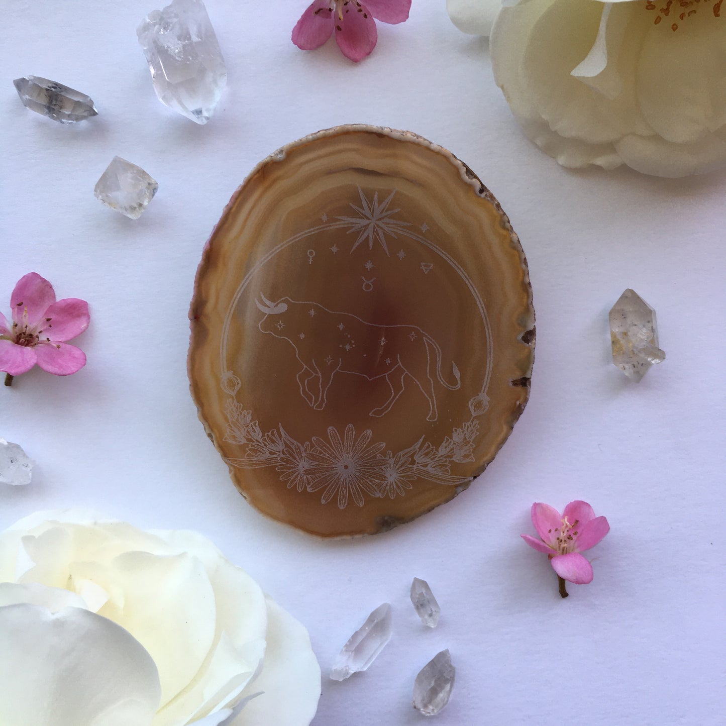 “Taurus Sigil” Daisy Flower Agate Slices