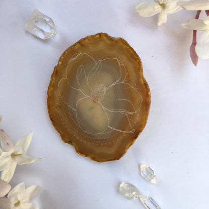 “Magnolia Matriarch” Magnolia Flower Agate Slices - Flower Essence Collection