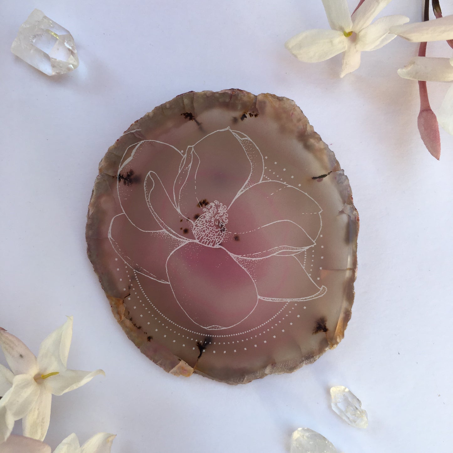 “Magnolia Matriarch” Magnolia Flower Agate Slices - Flower Essence Collection