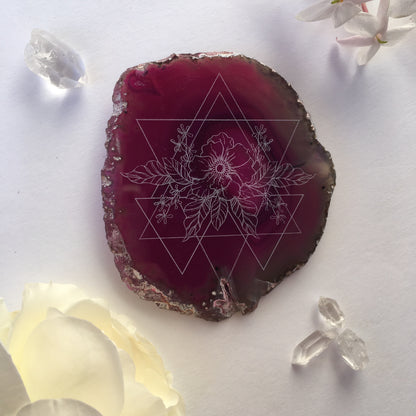 “Wild Geometry” Anemone Flower Agate Slices - Flower Essence Collection