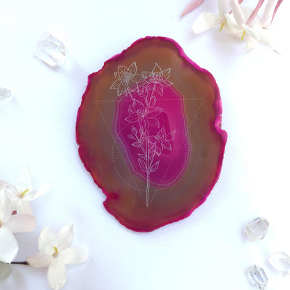 ”St. John’s Wort ” Flower Agate Slices - Flower Essence Collection