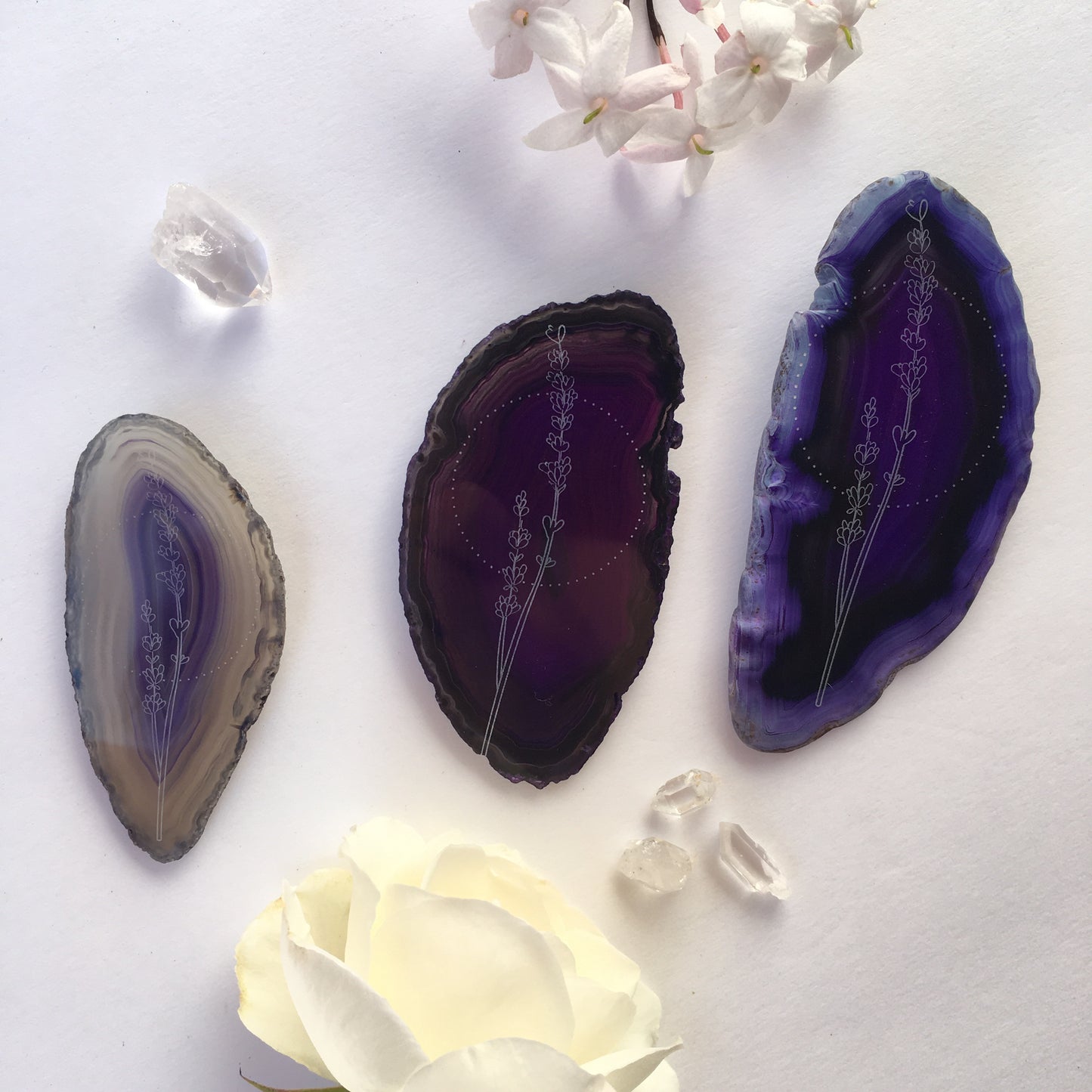 “Lavender Dreams” Lavender Flower Agate Slices - Flower Essence Collection