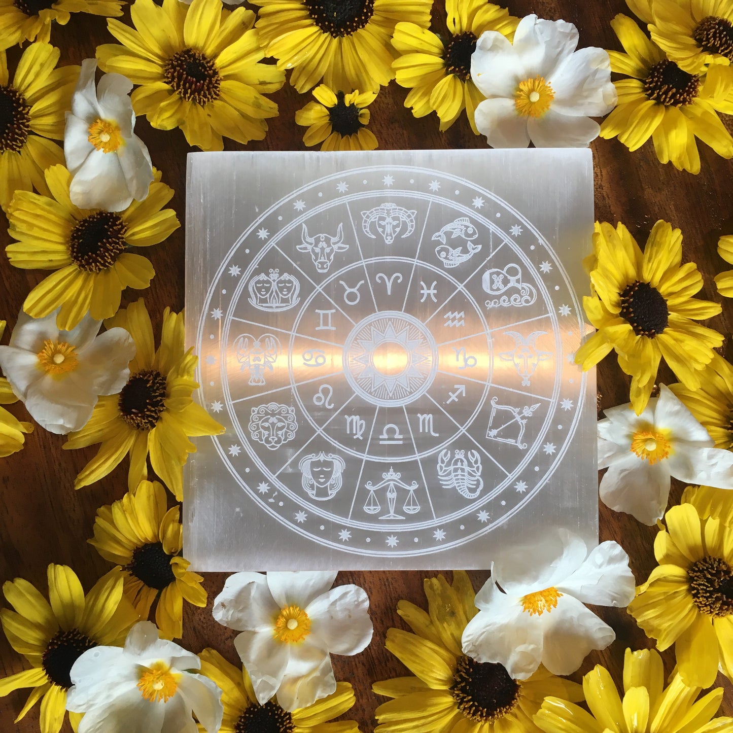 *CLEARANCE* 2ND QUALITY OR DAMAGED “Zodiac Wheel” Horoscope Selenite Cleansing Disc, Charging Plate and Crystal Grid - Fractalista Designs